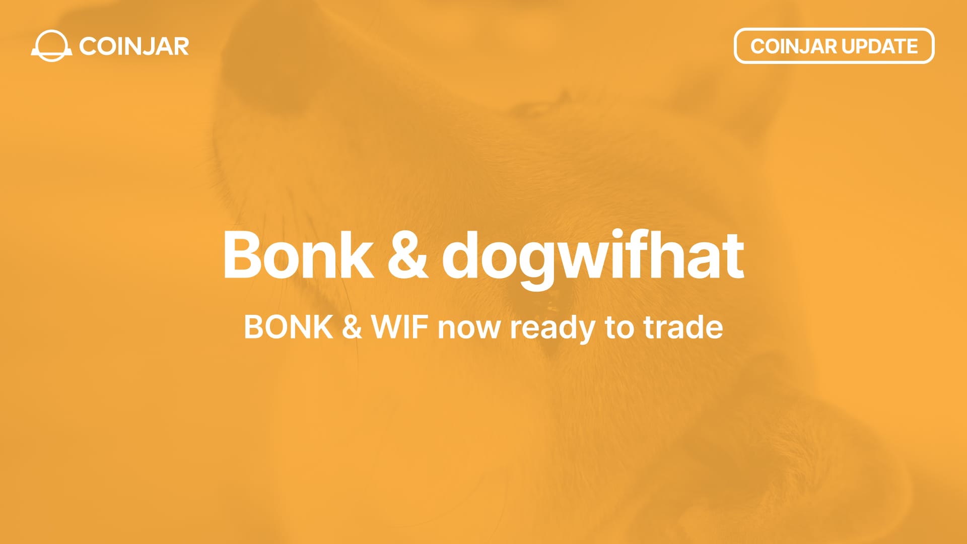 New tokens alert: dogwifhat & Bonk have arrived!