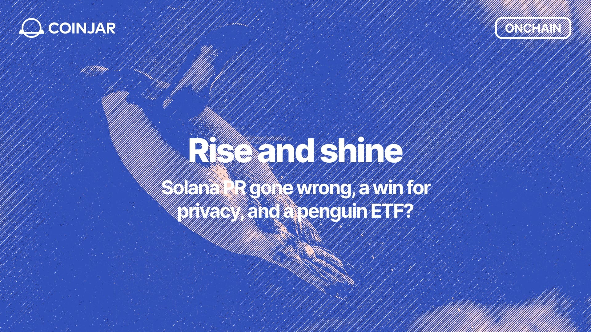 Onchain: Rise and Shine